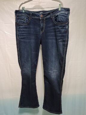 Silver Jeans Dark Blue Flare Jeans